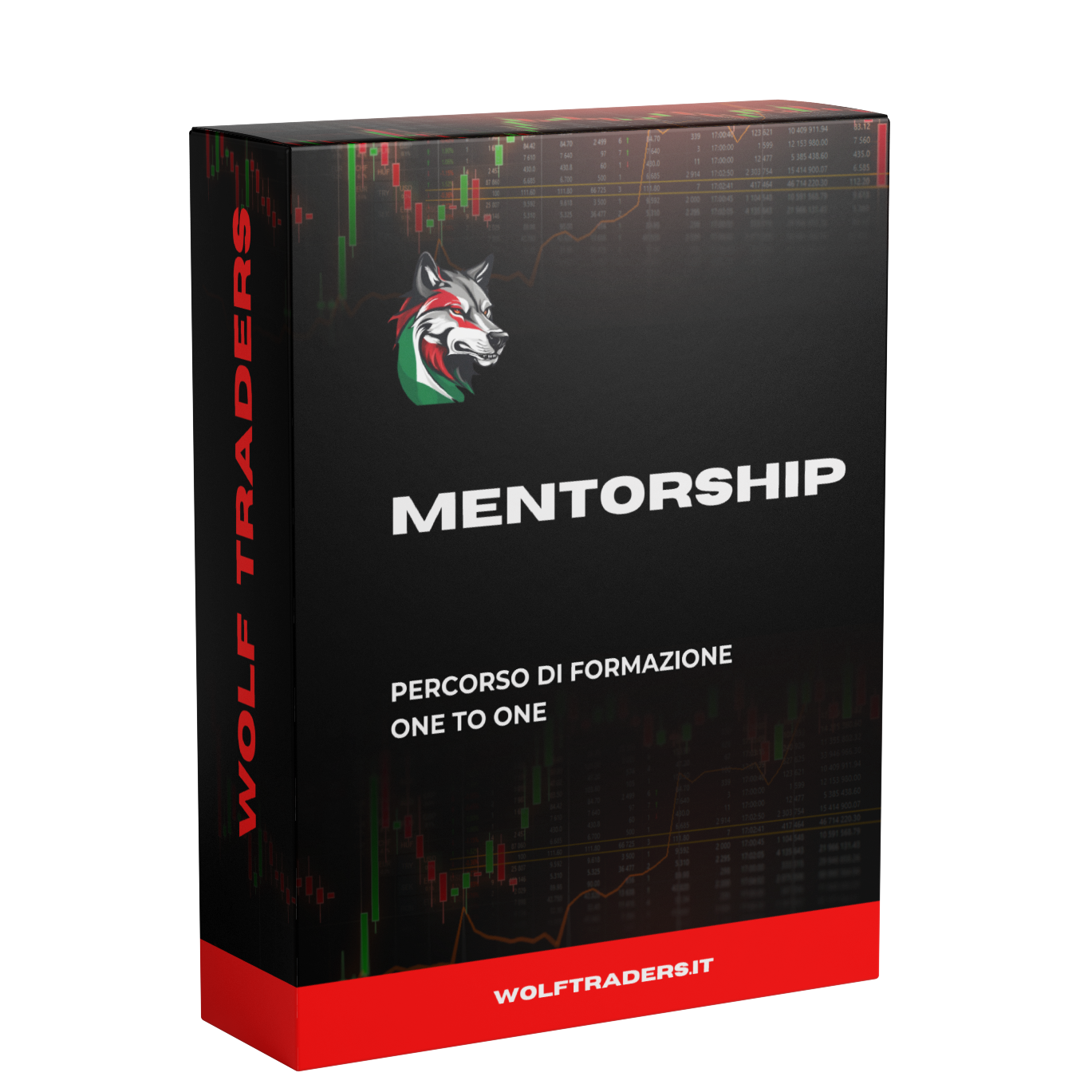 MENTORSHIP ONE-TO-ONE